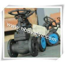 RF Forged Steel Gate Valve (G47H)